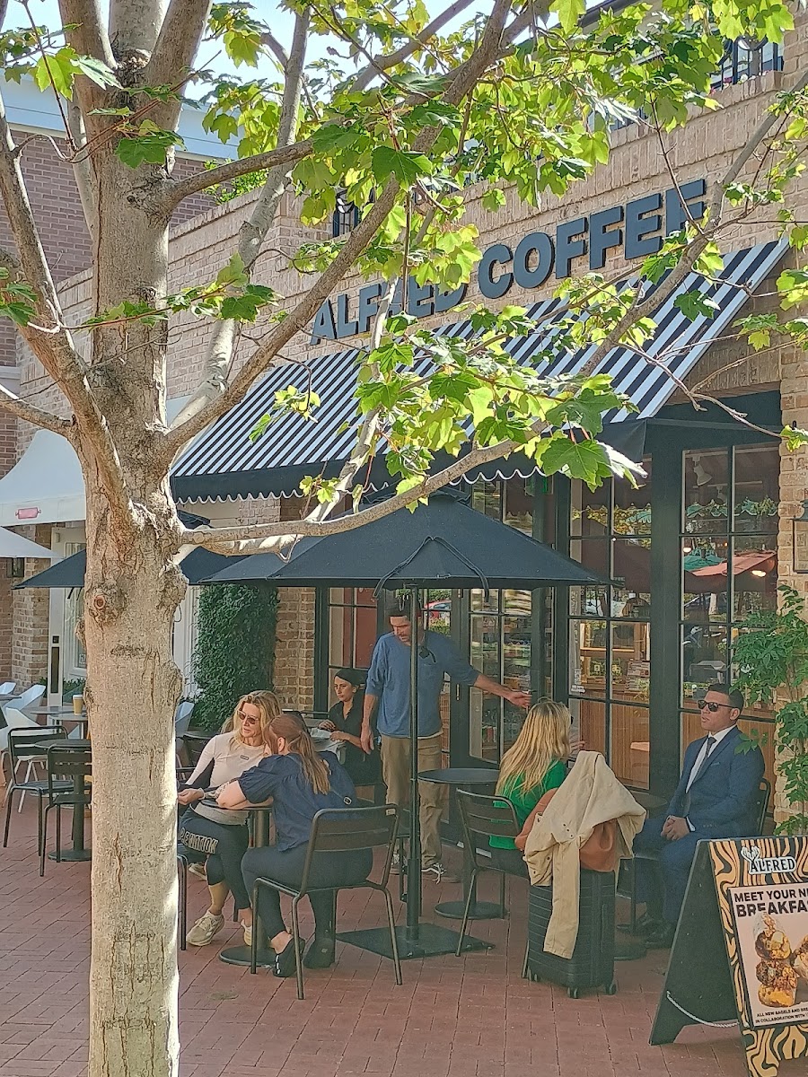 Alfred Coffee Photos 2